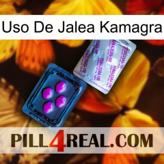 Kamagra Jelly Use 37